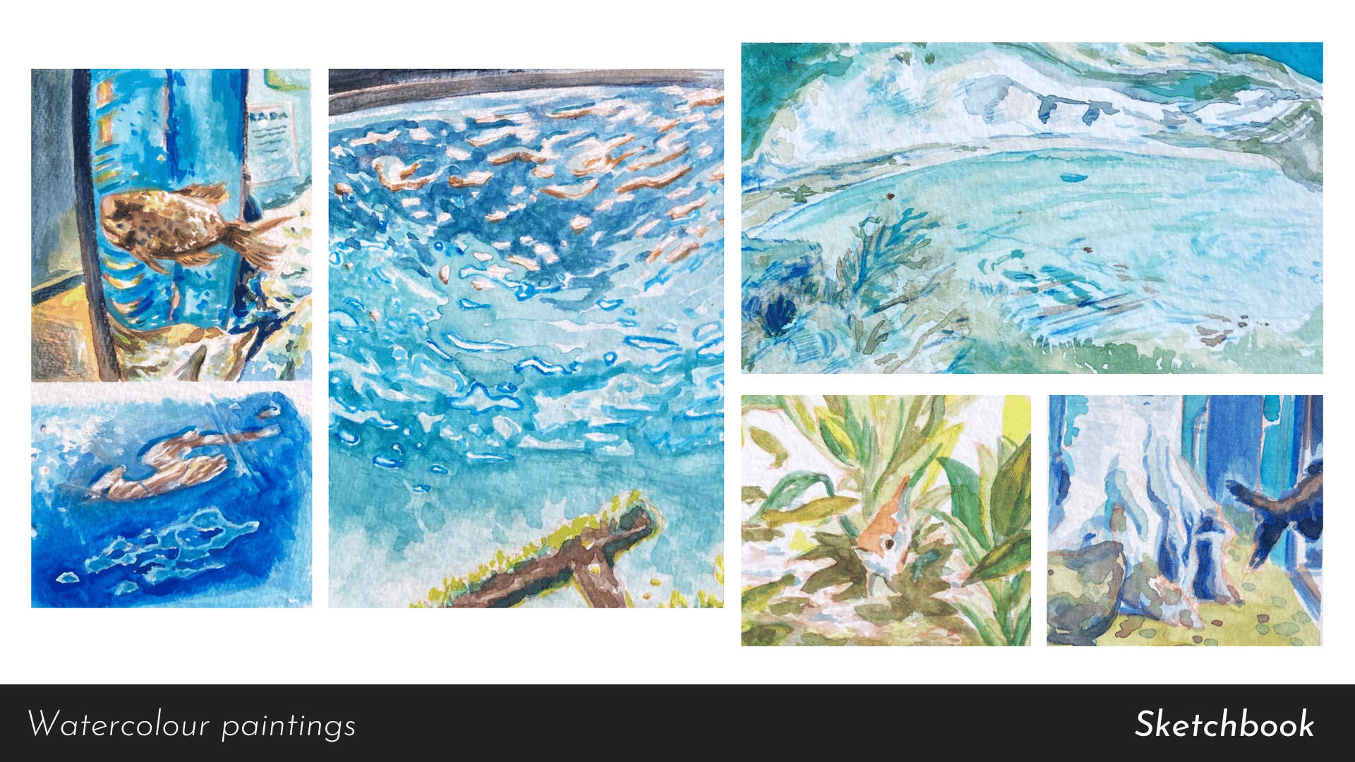 Bournemouth Oceanarium and Lulworth Cove - Watercolour paintings
